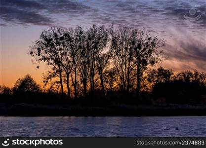 Tall trees above the water and clouds after sunset, Stankow, Poland