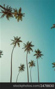 Tall tropical palm trees retro stylized