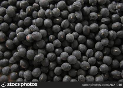 Tanba&acute;s black soybeans