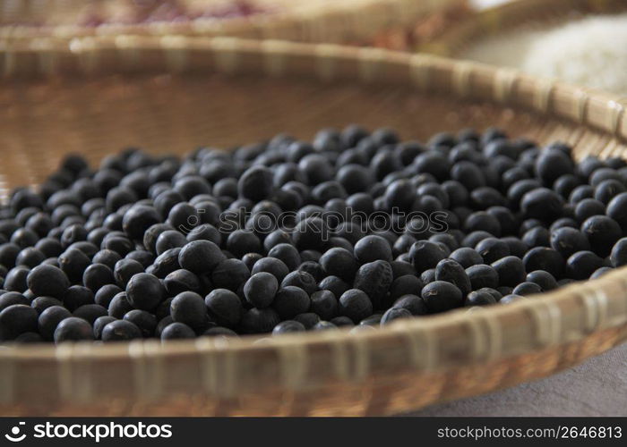 Tanba&acute;s black soybeans