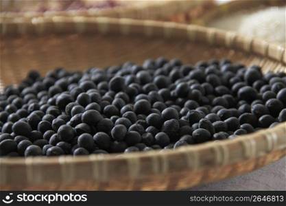 Tanba&acute;s black soybeans
