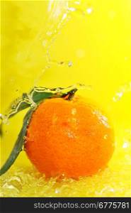 tangerine and water splashes on yellow close up