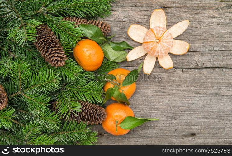 Tangerine fruits and christmas tree branches. Mandarine on wooden background
