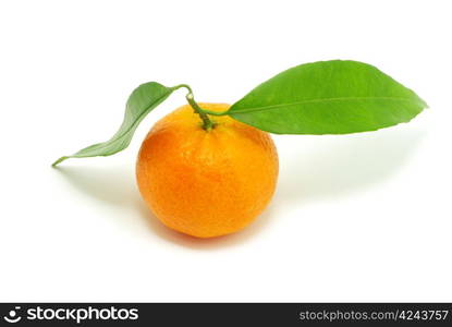 tangerine isolated on a white background