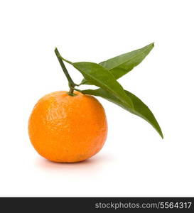 tangerine isolated on white background