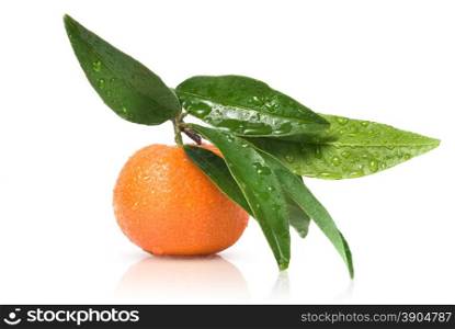 Tangerine with green leaves and water drops isolated on white