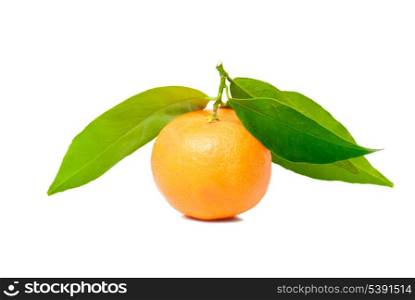 tangerine with green leaves isolated on white