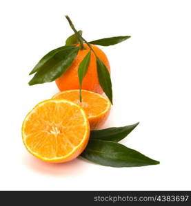 Tangerines isolated on white background