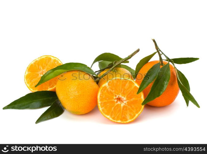 Tangerines isolated on white background