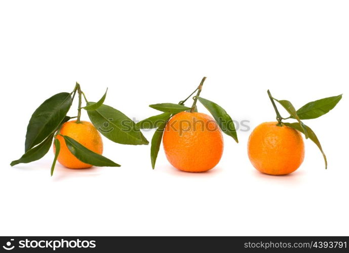 Tangerines isolated on white background