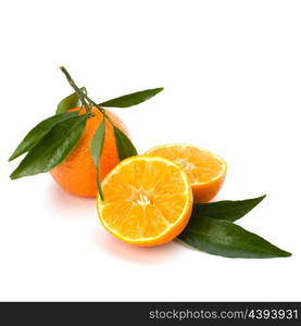 Tangerines isolated on white background