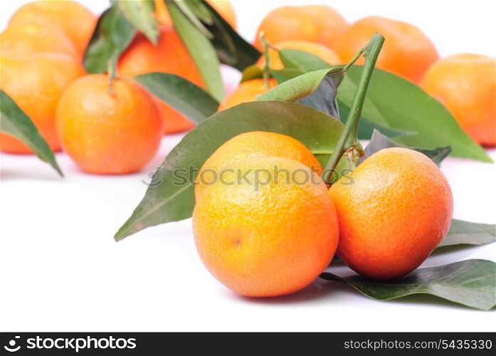 tangerines isolated on white. Selective focus