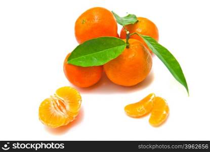 tangerines on a branch on white