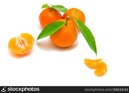 tangerines on a branch on white background