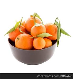 Tangerines on ceramic brown bowl isolated on white background