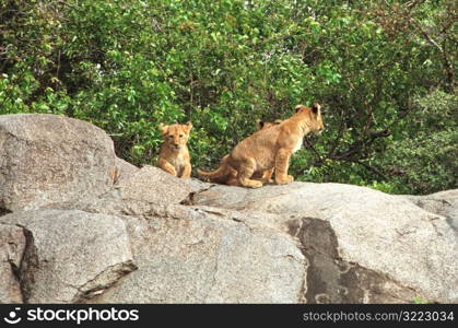 Tanzania, Africa - Serengeti, Ngorongoro Crater