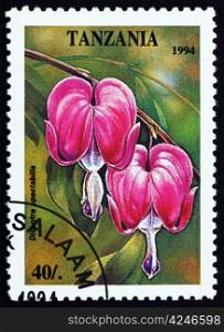 TANZANIA - CIRCA 1994: a stamp printed in the Tanzania shows Old-fashioned Bleeding-heart, Dicentra Spectabilis, Plant, circa 1994