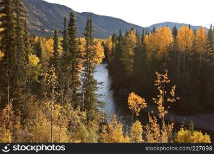 Tanzilla River in Northern British Columbia