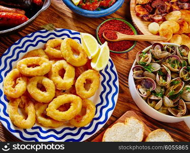 Tapas calamari romana squid rings seafood from Spain