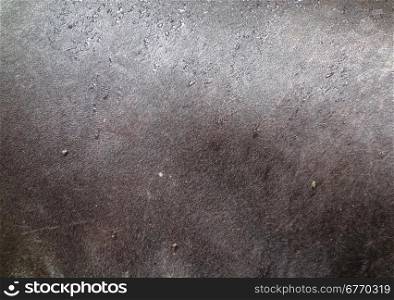 tapir skin texture