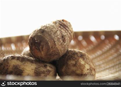 Taro potato