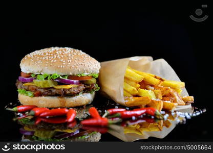 Tasty and appetizing hamburger with fries