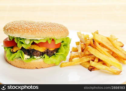 Tasty and appetizing hamburger with fries on white plate