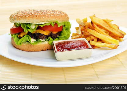 Tasty and appetizing hamburger with fries on white plate