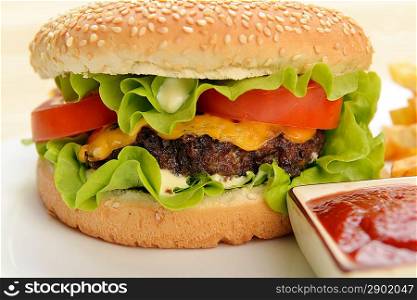 Tasty and appetizing hamburger with fries on white plate