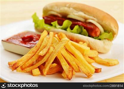Tasty and appetizing hot dog with fries on white plate