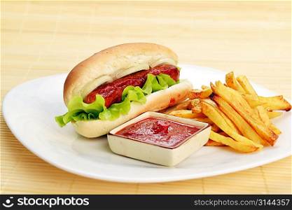 Tasty and appetizing hot dog with fries on white plate