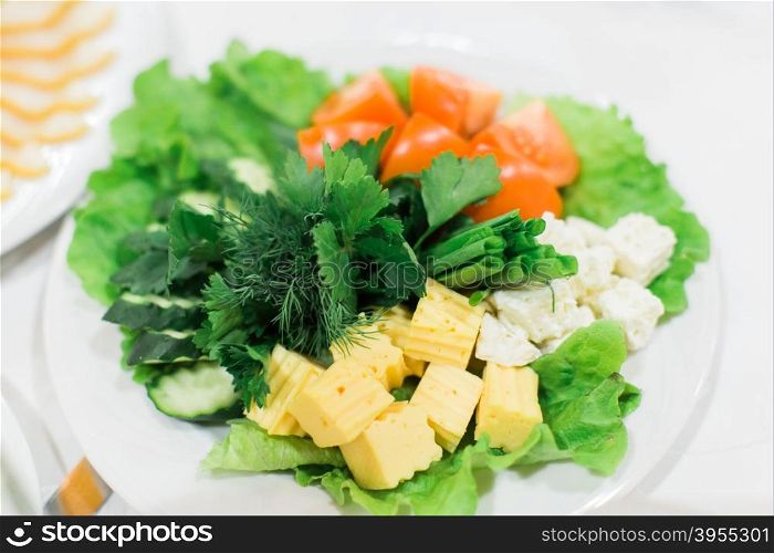 Tasty appetizer. Different vegetables on white plate