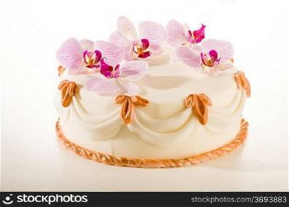 Tasty cake in white marzipan coating with orchid flower decoration