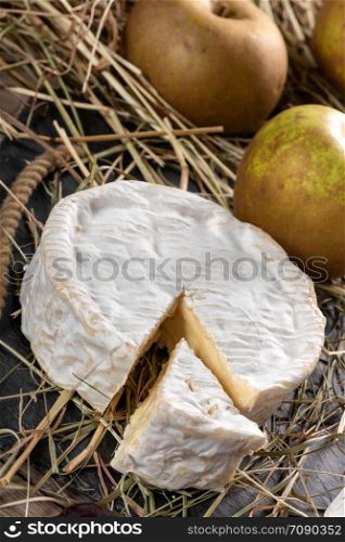 tasty camembert of Normandy in straw, dairy product