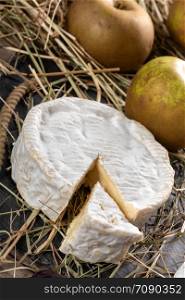 tasty camembert of Normandy in straw, dairy product