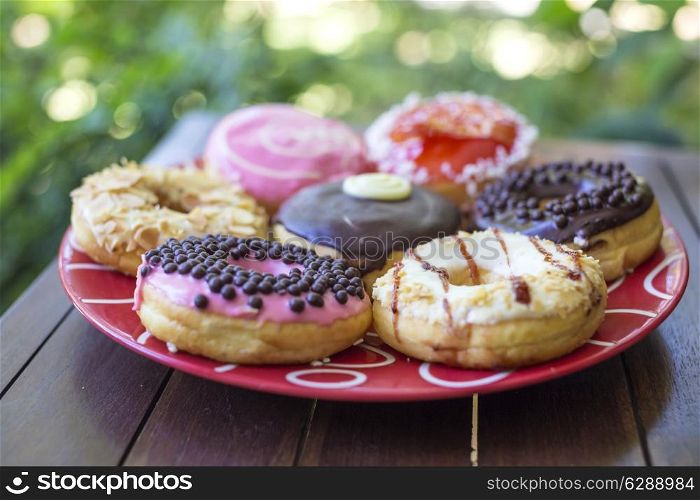Tasty donuts on the Table.
