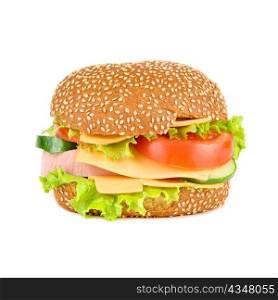 tasty hamburger isolated on a white background