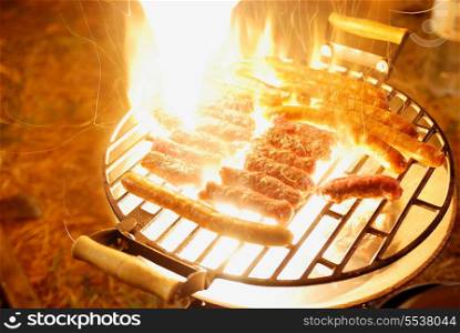 tasty meat on grill