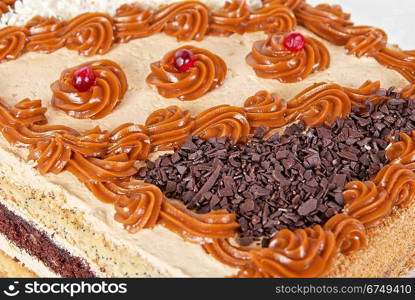 tasty nuts cake