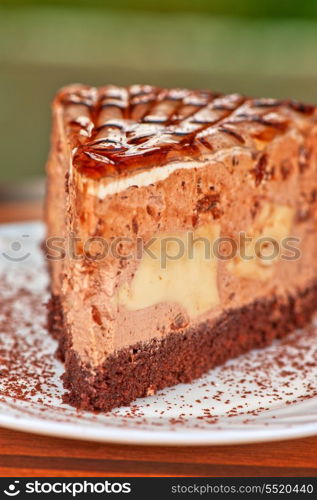 tasty piece of cake closeup