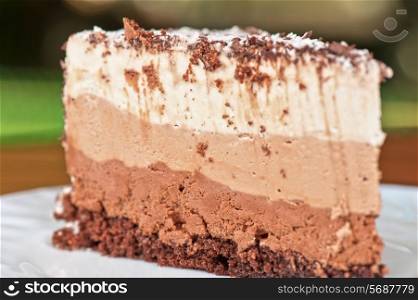 tasty piece of cake closeup
