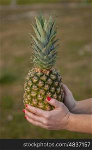Tasty pineapple holding with a hands with red nails and green grass of background