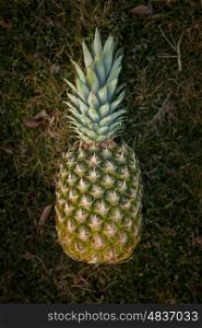 Tasty pineapple on the green grass of background