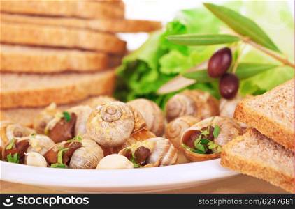 Tasty prepared escargot with bread and olives on the plate, luxury dinner in expensive restaurant, traditional French delicatessen, delicious food concept