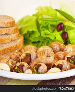 Tasty prepared escargot with fresh green lettuce salad, black olives, bread and garlic on white plate in restaurant, luxury meal
