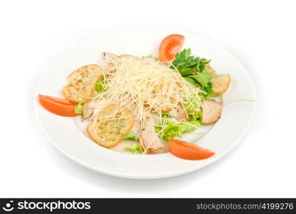 Tasty Salad dish isolated on a white background