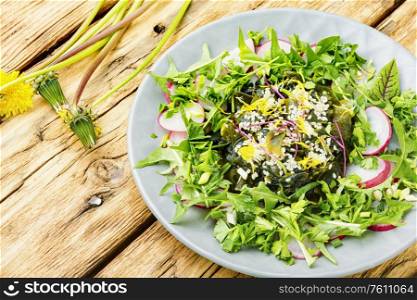 Tasty salad of seaweed, herbs, sesame seeds and radishes. Salad with seaweed and herbs