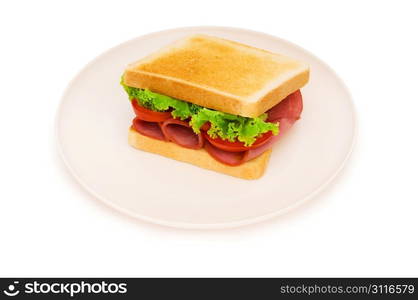 Tasty sandwich isolated on the white background