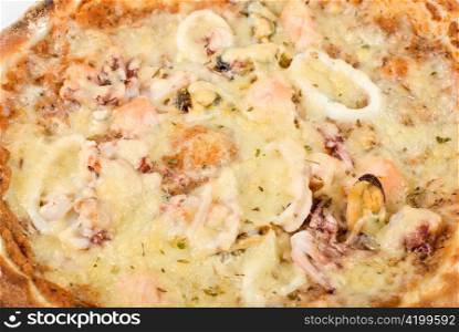 Tasty Seafood pizza closeup