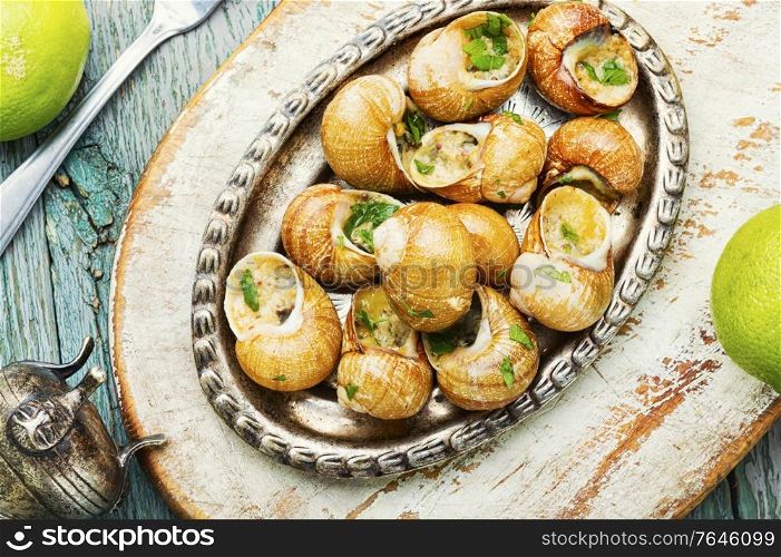 Tasty snails in vintage tray.Stuffed escargots.France food. Bourgogne escargot snails